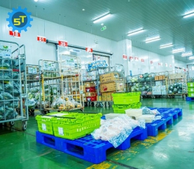 Kho Lạnh bảo quản trái cây 