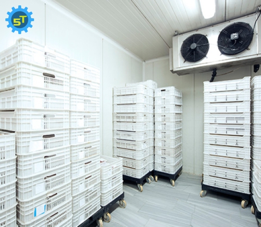 Kho lạnh bảo quản hạt giống 